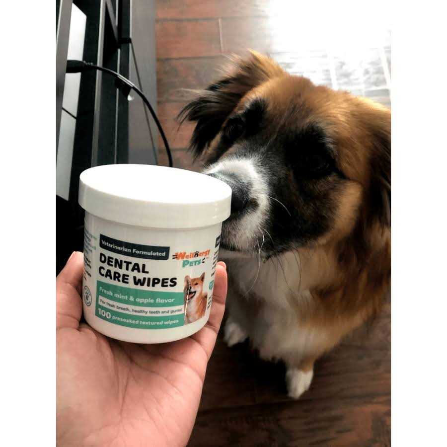 Dental Care Wipes for Dogs F954292