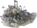 Natural Gemstone Smoky Quartz Cluster Crystal H735405