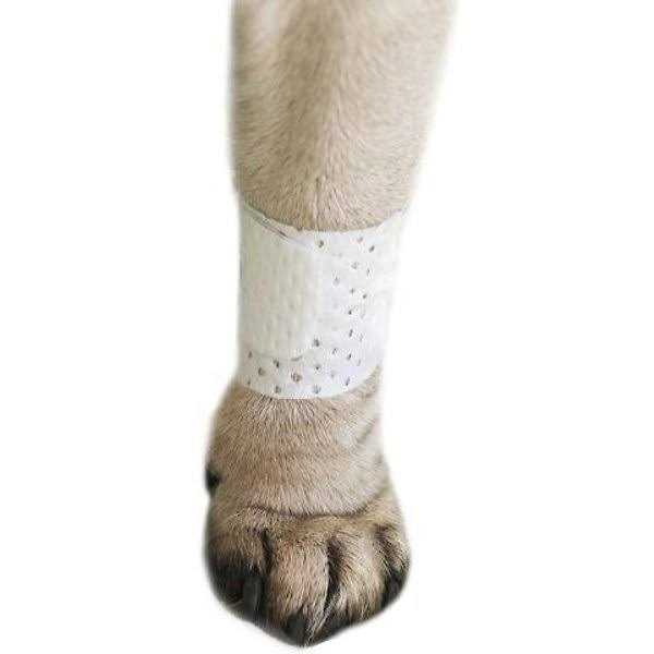 Pet Bandages Protective Covers L13222