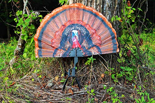 Turkey Hunting Decoy with Realistic Fan H18879