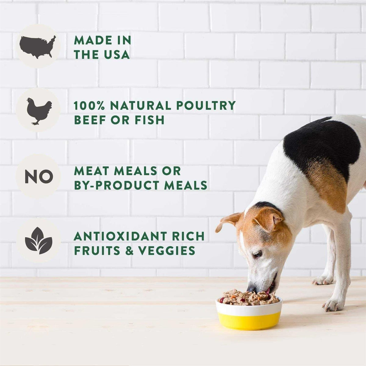 Fresh from the Kitchen Select Home Cooked Chicken Recipe Dog Food A631576