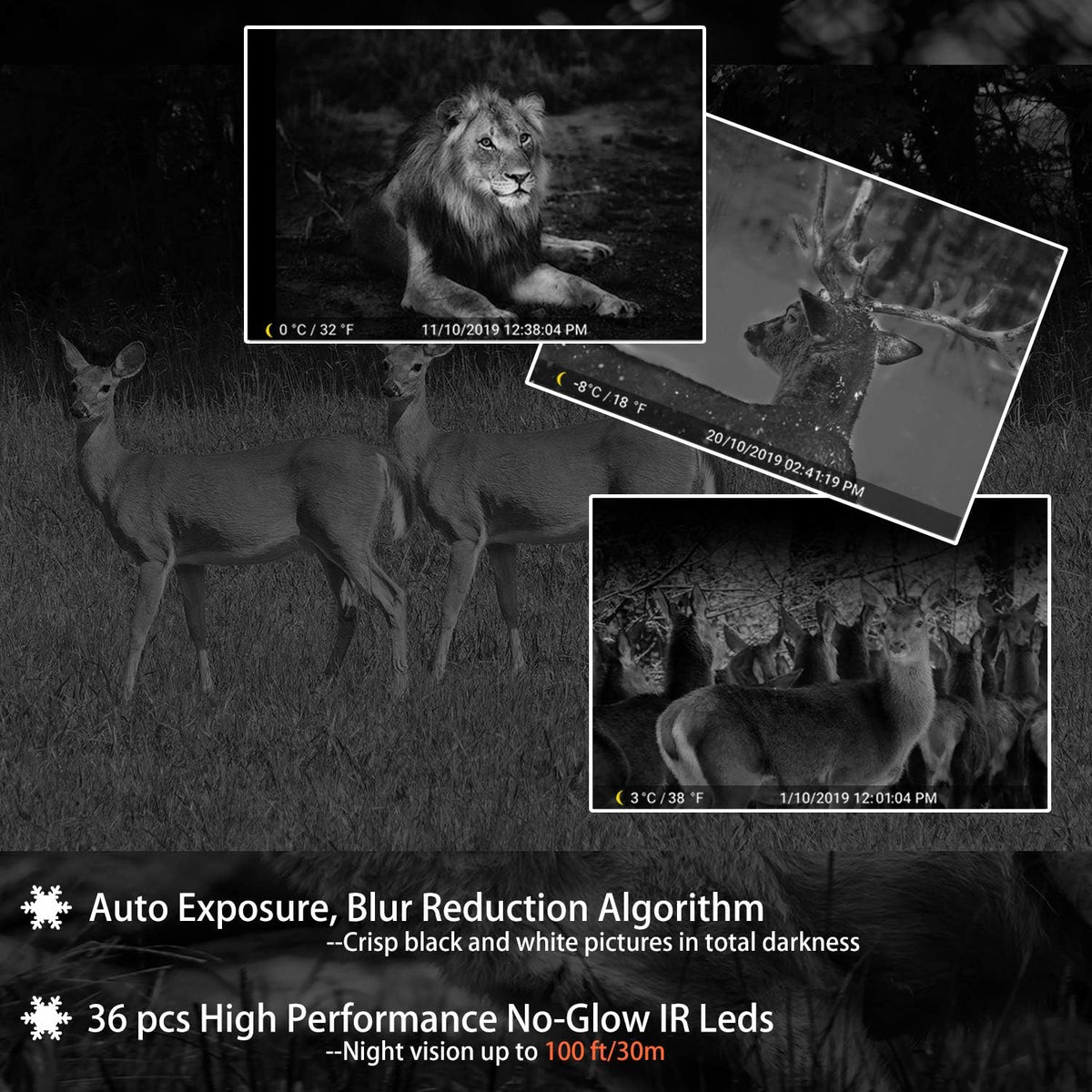 2-Pack 24MP 1296P Trail Cameras with Night Vision F422132