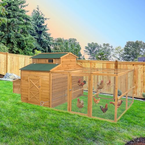 112" Large Wooden Chicken Coop with Chicken Run & Nesting Box T2008
