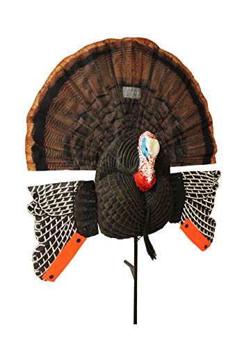 Turkey Hunting Decoy with Realistic Fan H18879