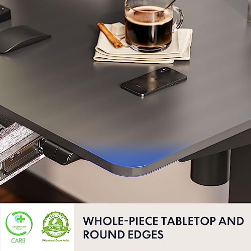 48 x 24 Inches Electric Standing Desk with Drawer C219281