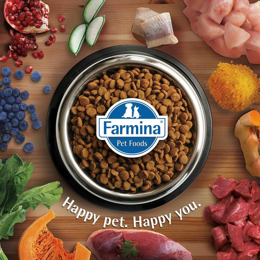 Lamb Dry Cat Food A409