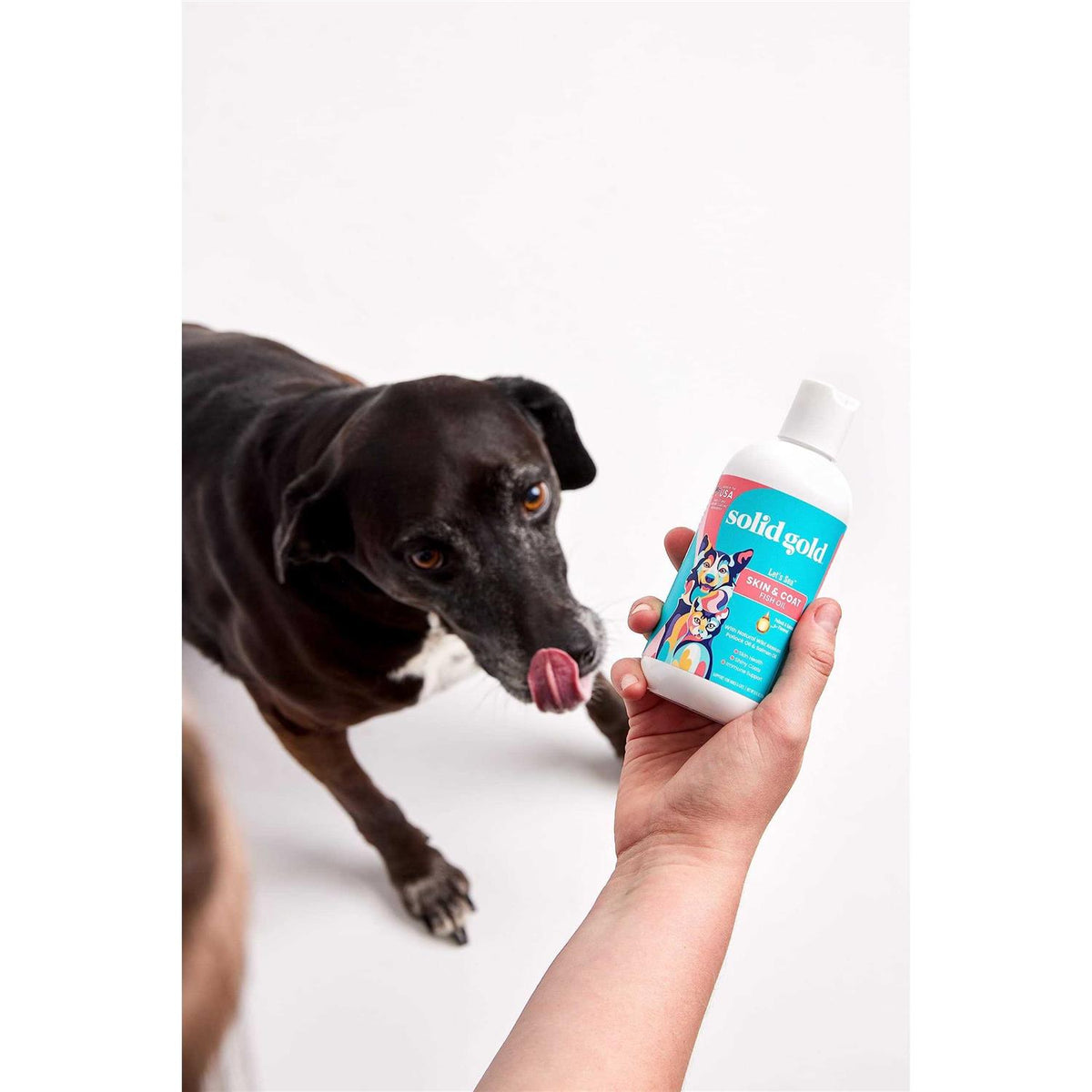 Solid Gold Fish Oil for Dogs & Cats Wild Alaskan Salmon Oil for Dogs Skin and Coat Support K811