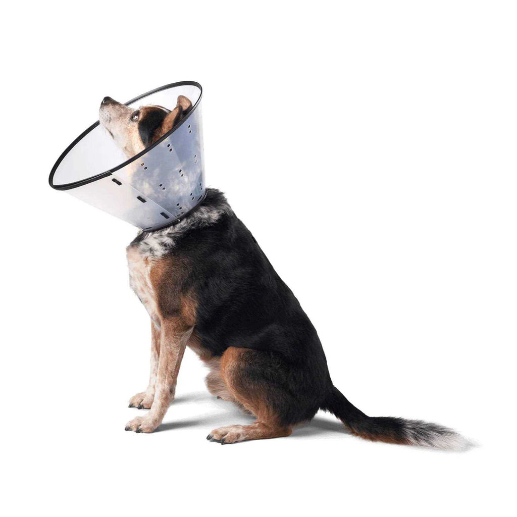 Dog E-Collar H294