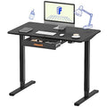 48 x 24 Inches Electric Standing Desk with Drawer C219281