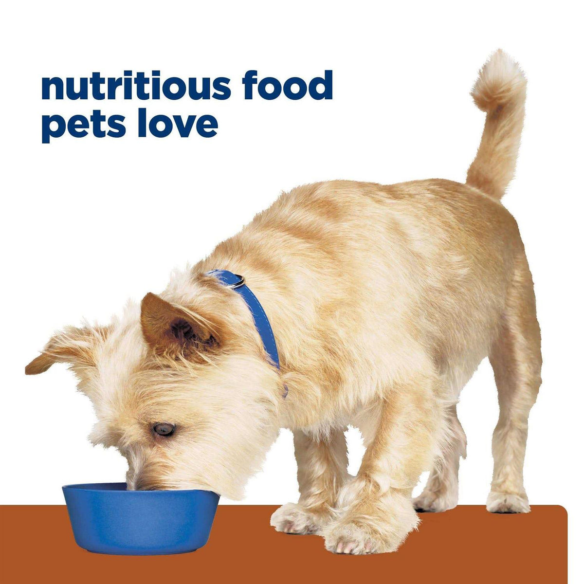 Kidney Care Dry Dog Food with Chicken T267184