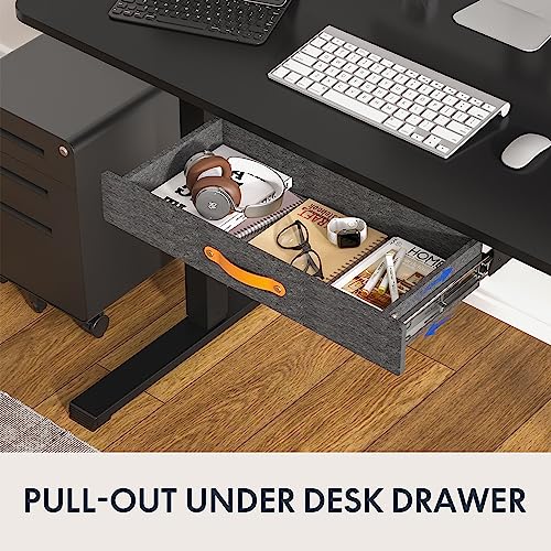 48 x 24 Inches Electric Standing Desk with Drawer C219281