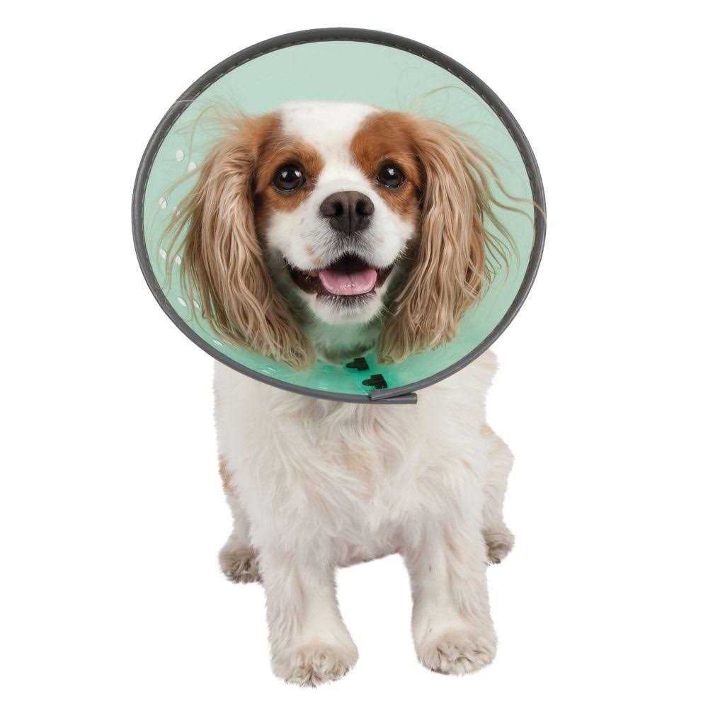 Dog E-Collar H294