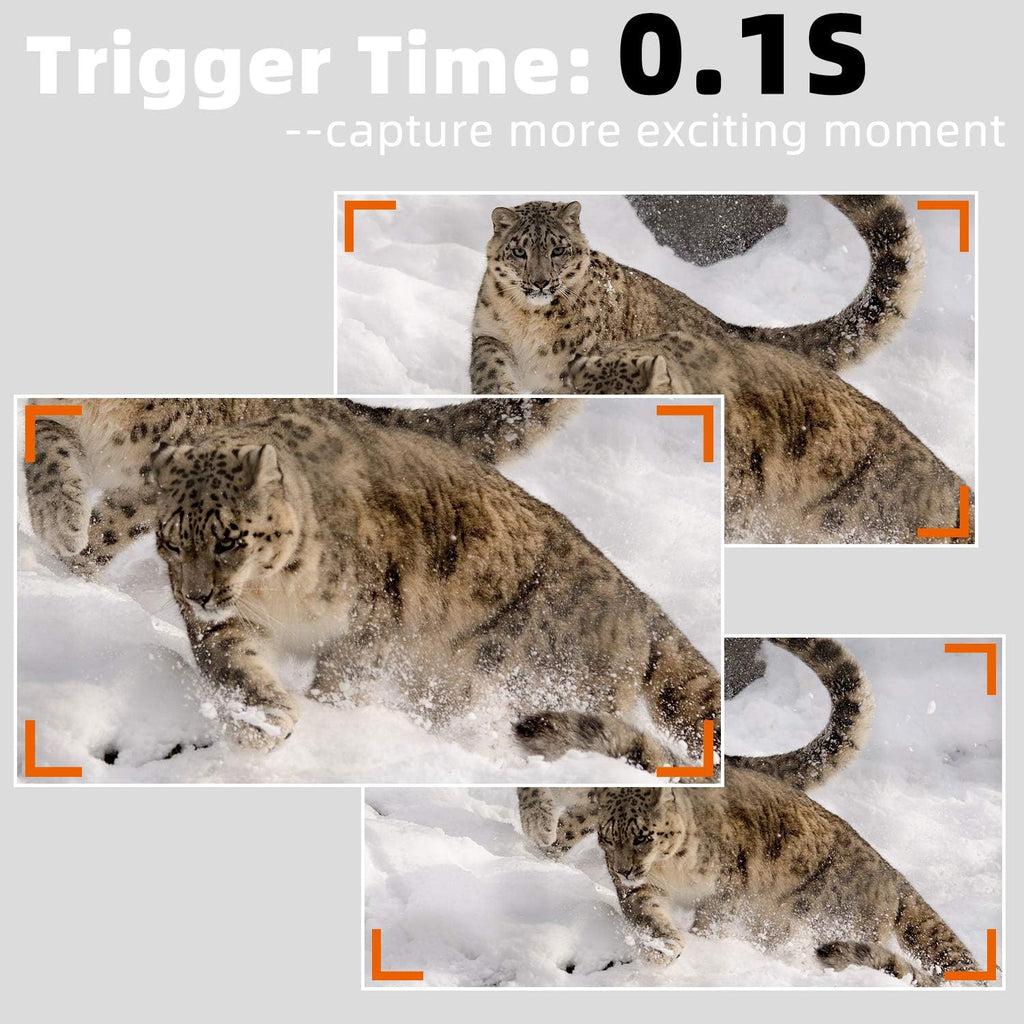 2-Pack 24MP 1296P Trail Cameras with Night Vision F422132