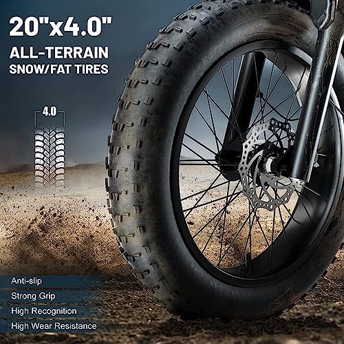 Electric Retro Cargo Bicycle 2000W Dual Motor 48V 18Ah 20" Fat Tire 7 Speed Ebike U2998