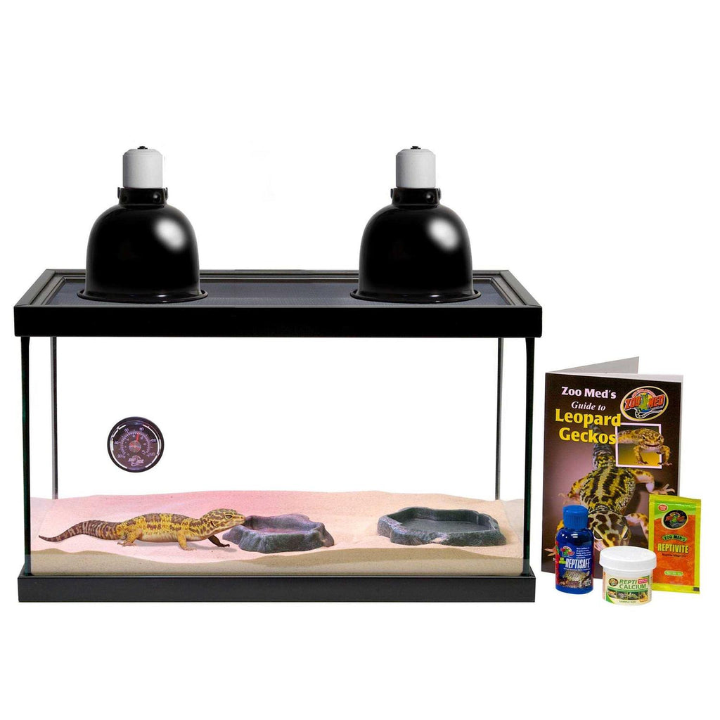 Leopard Gecko Kit Y618