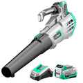20V Cordless Leaf Blower 350CFM 2-Speed with Battery & Charger B6490