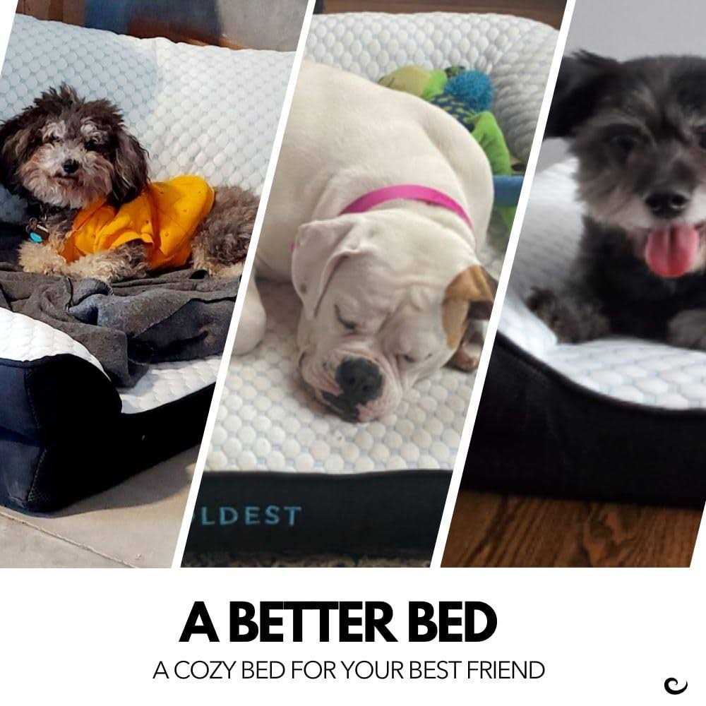 Cozy Cooling Medium Dog Bed C314063