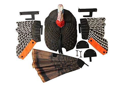 Turkey Hunting Decoy with Realistic Fan H18879