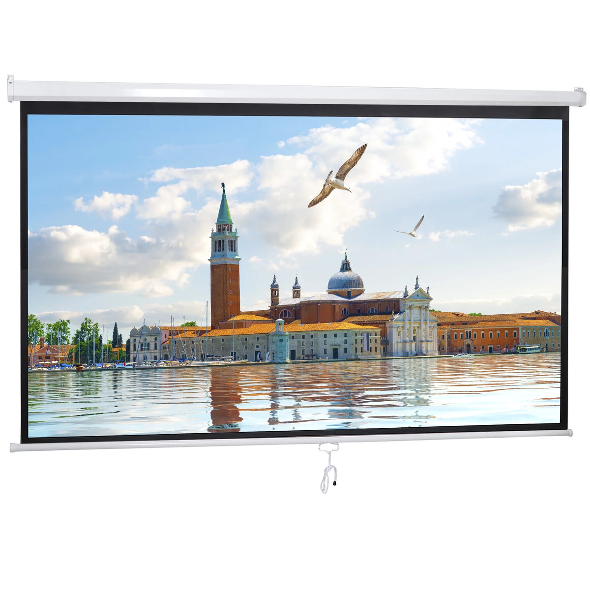 100in 16:9 Projection Screen X689