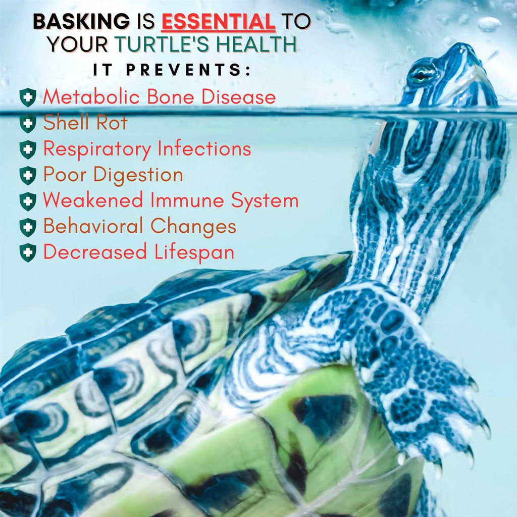 Extra Large Wide Hanging Turtle Basking Platform 17×16 Aquatic Reptile Ramp Dock K790