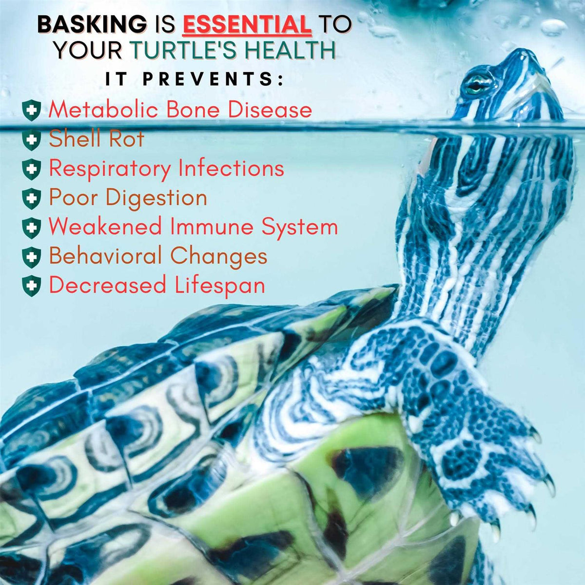 Extra Large Wide Hanging Turtle Basking Platform 17×16 Aquatic Reptile Ramp Dock K790