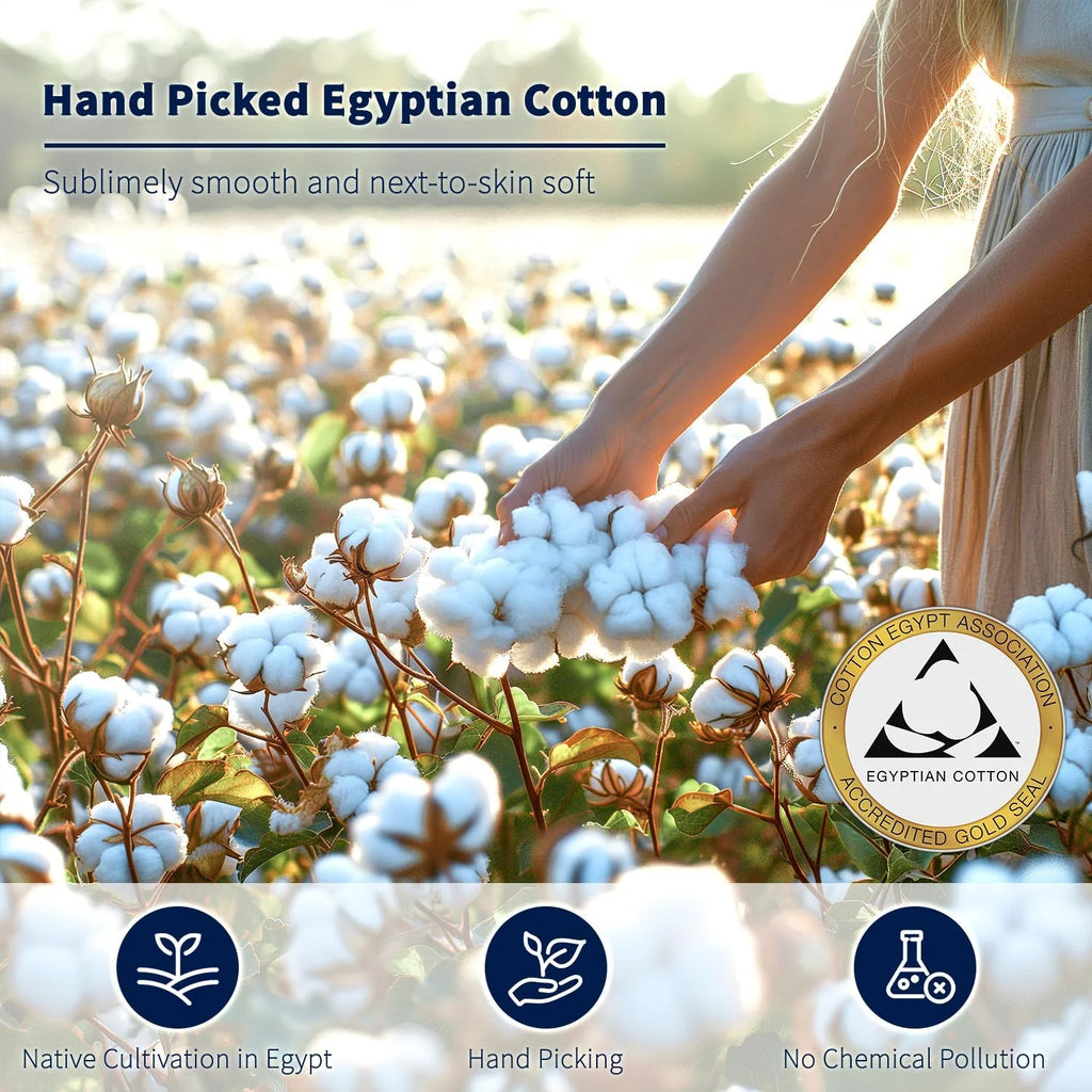 King Size 4-Piece 100% Egyptian Cotton Sheets Set R44687