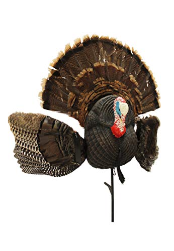 Turkey Hunting Decoy with Realistic Fan H18879