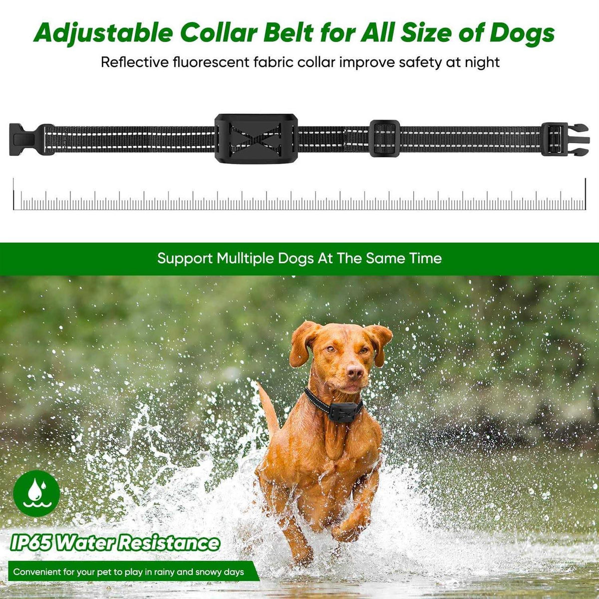 Wireless Dog Fence 2 Dogs Training Collar Remote O230048