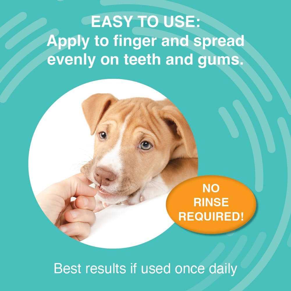 Dental Gel C570