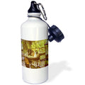 Sports Water Bottle S4653