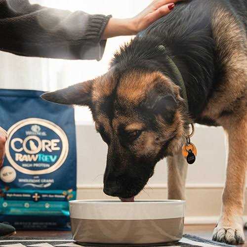 Grain Free Whitefish Dog Food E764