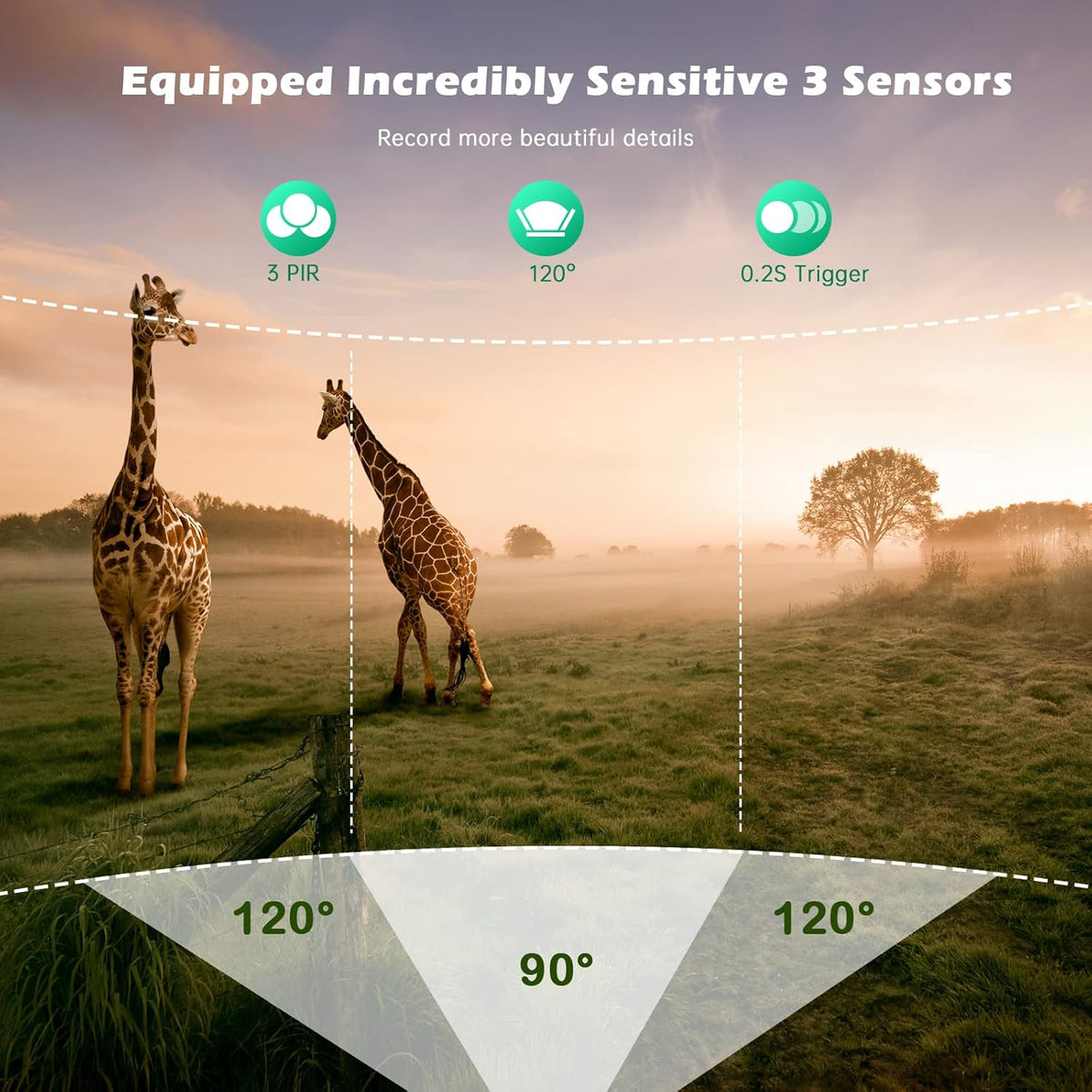 4K 24MP WiFi Trail Camera with Night Vision, IP66 Waterproof, Pack of 2 P869