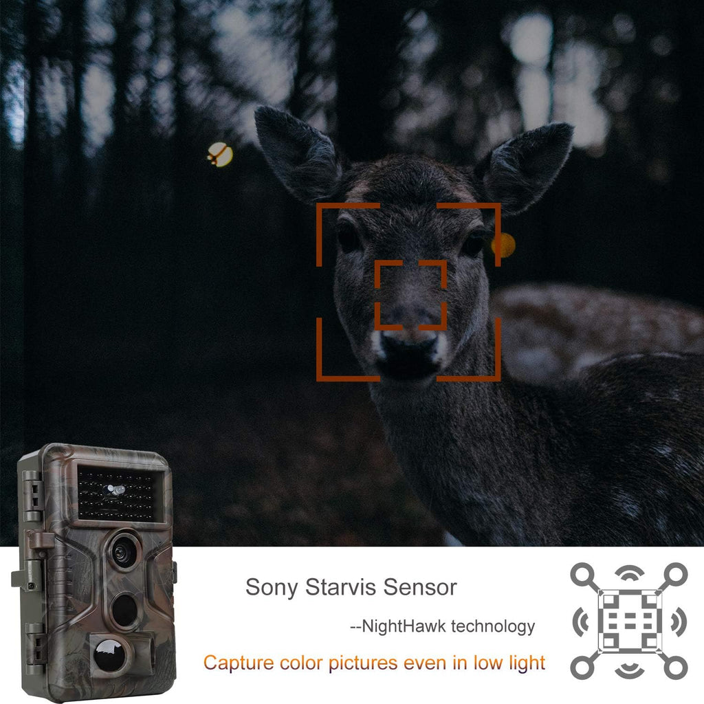 2-Pack 24MP 1296P Trail Cameras with Night Vision F422132