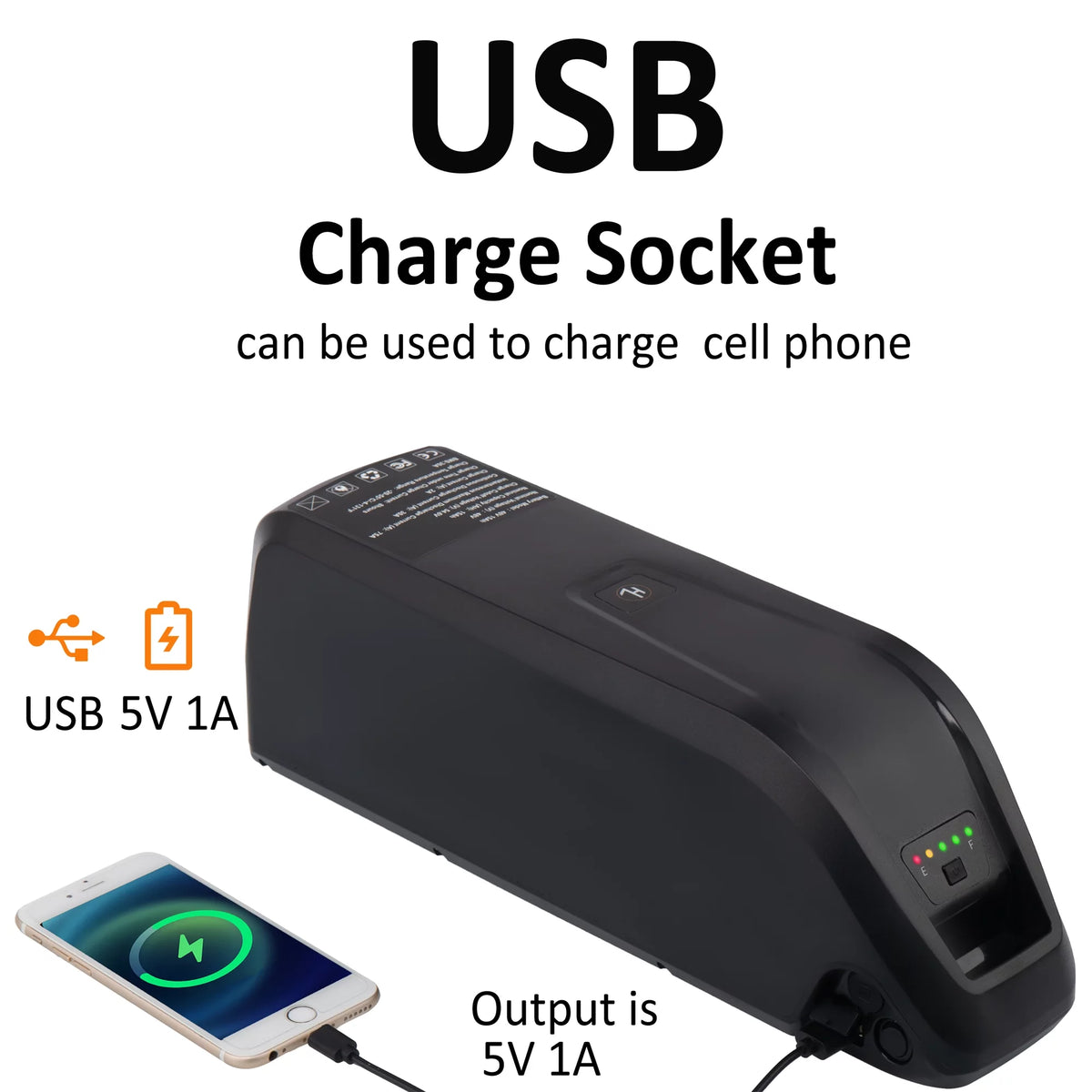 48V 10Ah Lithium Ebike Battery with Charger Q9023