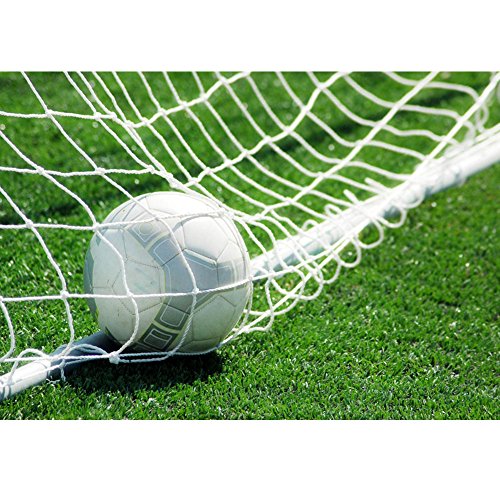 Portable Soccer Goal Post Net D515639