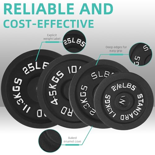 95 Lbs Cast Iron Standard Barbell Weight Set with Barbell Bar I8494