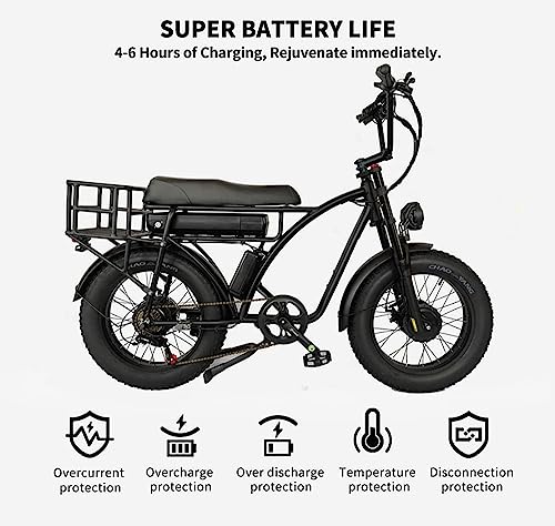 Electric Retro Cargo Bicycle 2000W Dual Motor 48V 18Ah 20" Fat Tire 7 Speed Ebike U2998