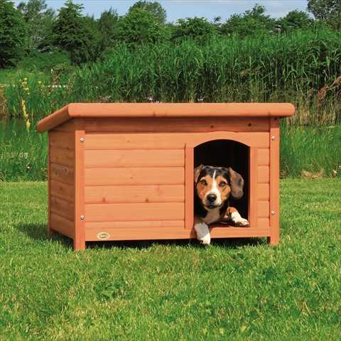 Small Dog House E19973