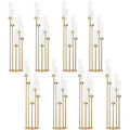 Matte Black 5 Arm Candelabra with Acrylic Shades I6376