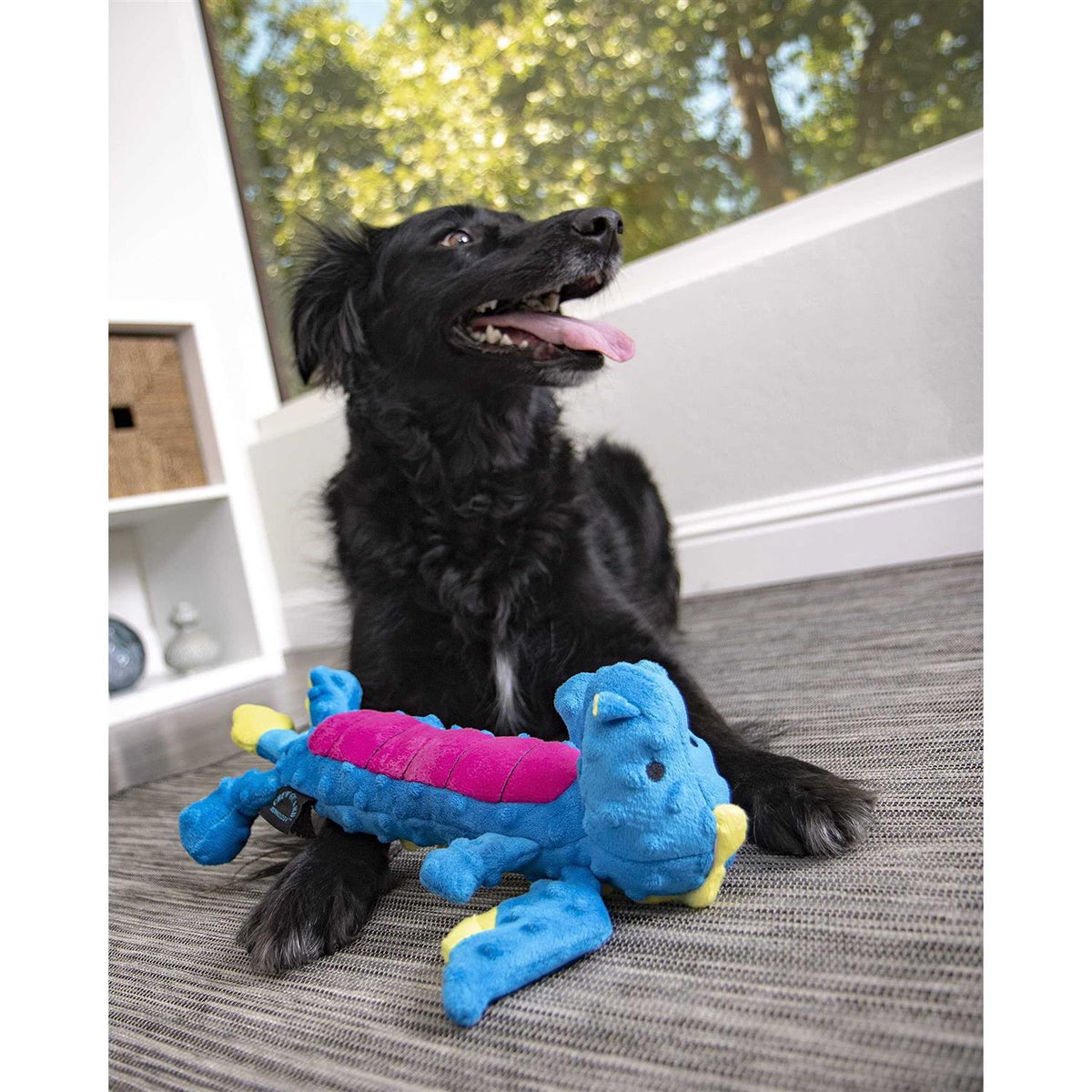 Dog Toy G987233