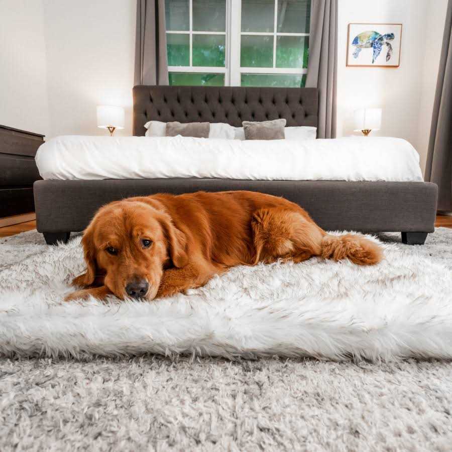 Faux Fur Orthopedic Dog Bed T4317