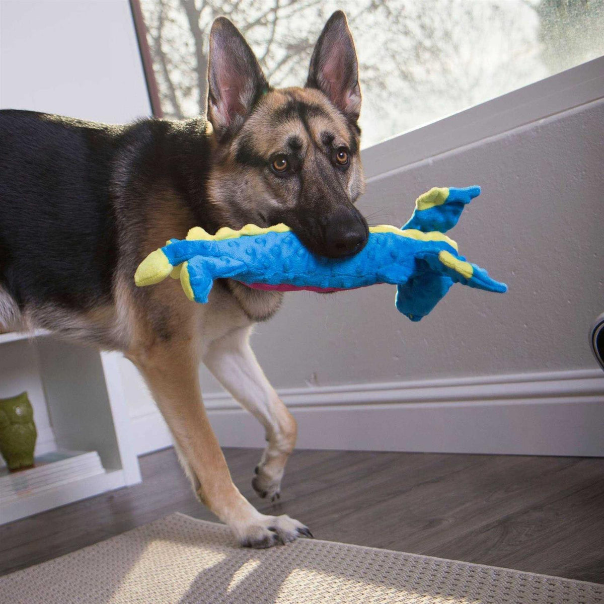 Dog Toy G987233