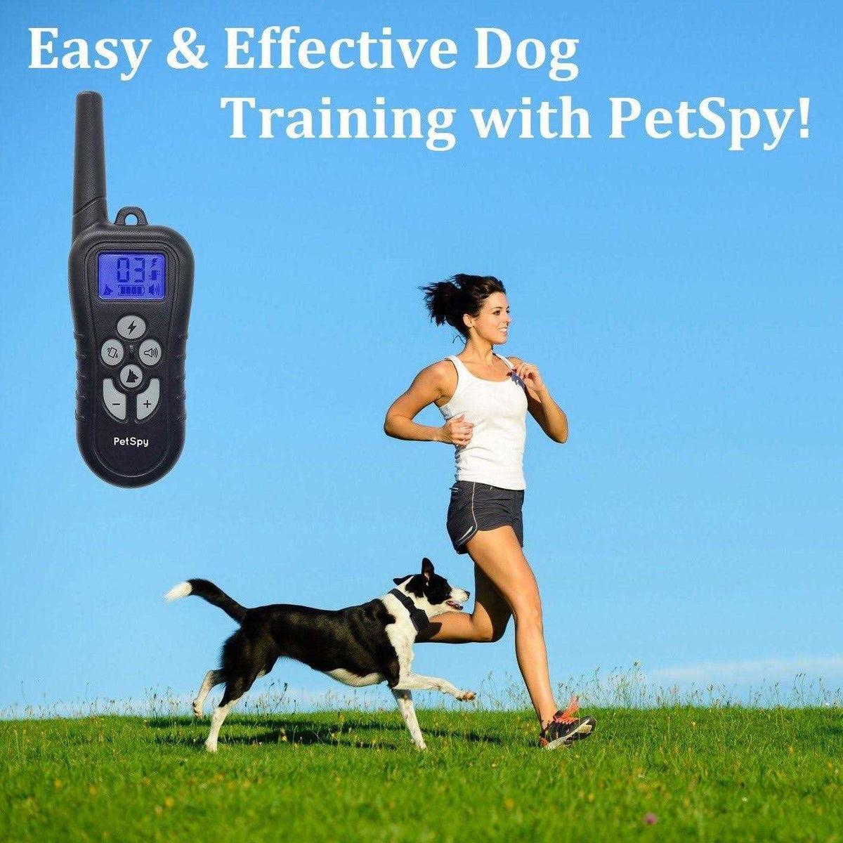 Remote Dog Training Collar X610