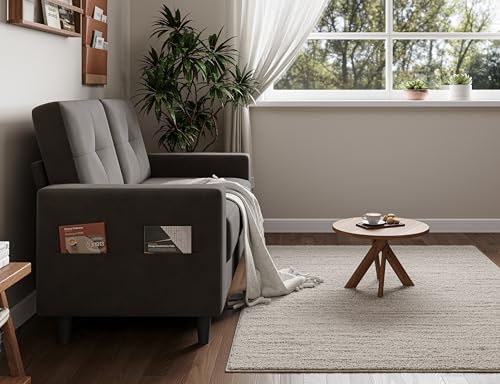 Brown 53" 2 Seater Loveseat Sofa J8484