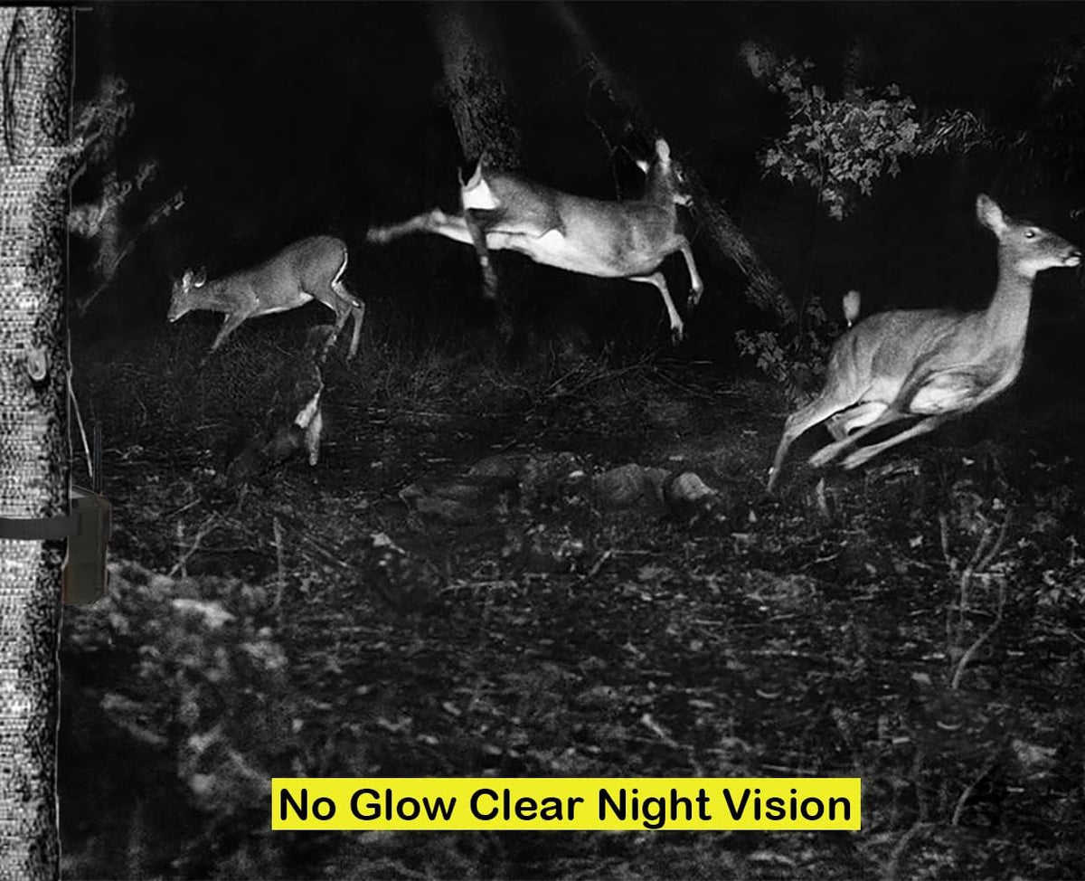 32MP 1296P WiFi Trail Camera with Night Vision Motion Activated Waterproof IP66 N2289
