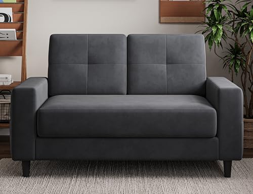 Brown 53" 2 Seater Loveseat Sofa J8484