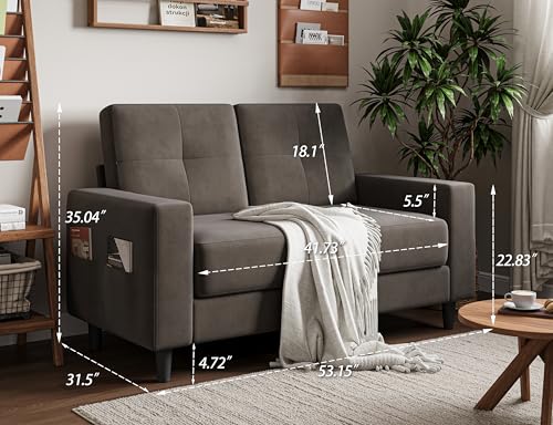 Brown 53" 2 Seater Loveseat Sofa J8484
