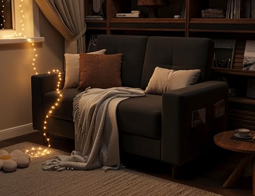 Brown 53" 2 Seater Loveseat Sofa J8484