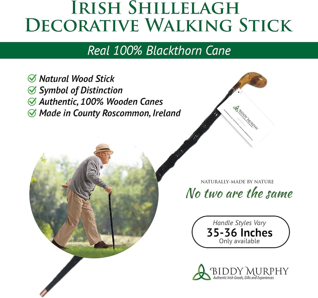 Blackthorn Walking Stick B604752