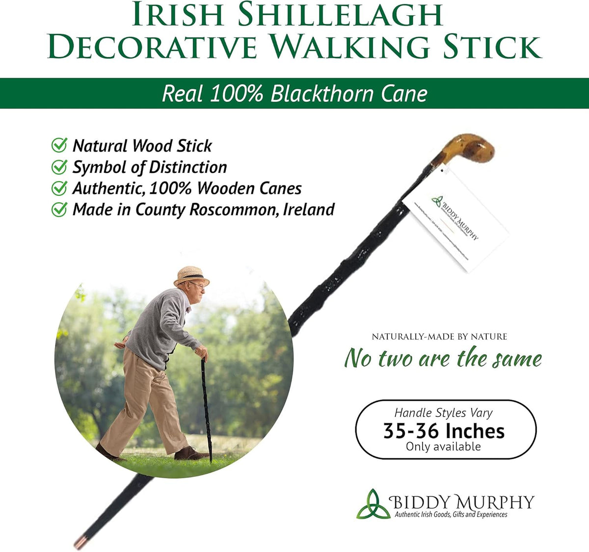 Blackthorn Walking Stick B604752